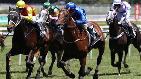 ubet horse racing today.